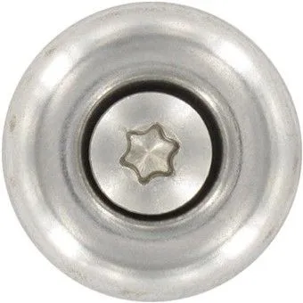 EDELSTAHL Spenglerschraube 4,5 × 35 mm TORX 20 (100 Stück)